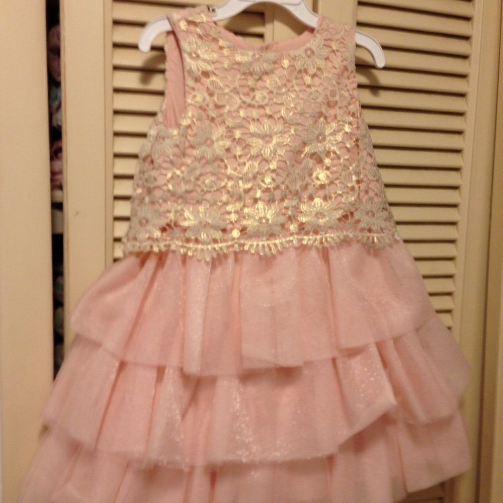 Catherine Maland Rino Pink Dress  Size 4T
